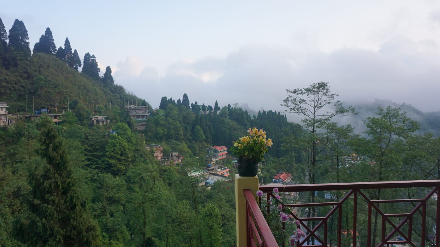 homestay